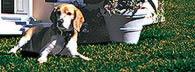 Superdog house